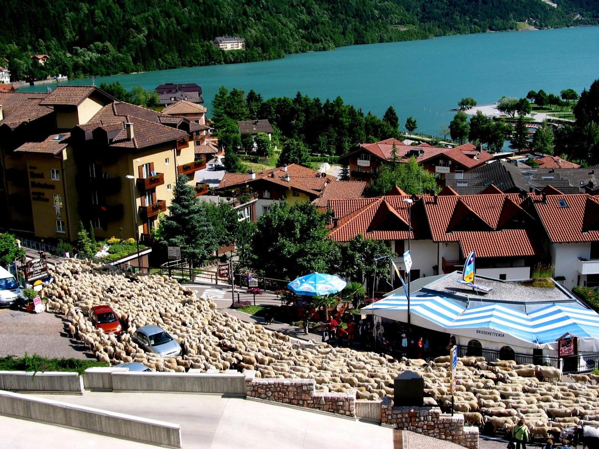 Albergo Stella Alpina Molveno Exterior foto